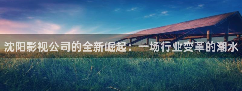 優(yōu)優(yōu)色歐美影院：沈陽影視公司的全新崛起：一場(chǎng)行業(yè)變革的潮水